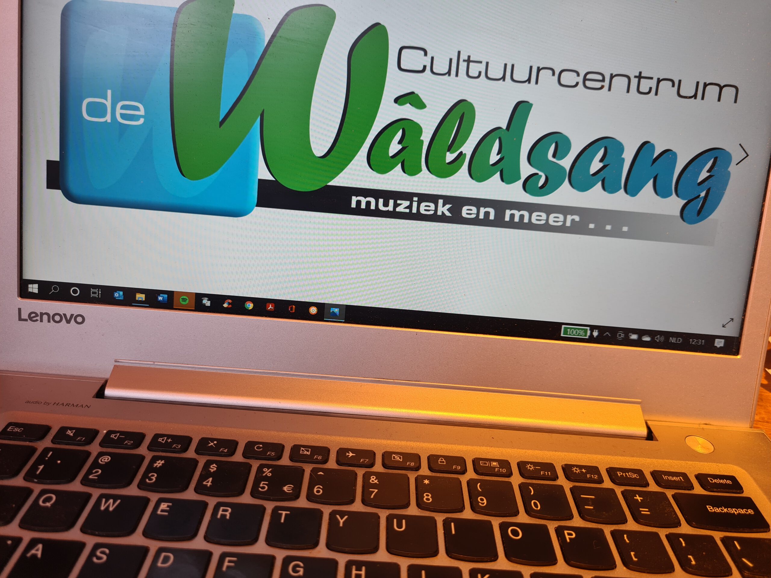 Voor Concertbezoek Naar Digitaal Podium Wâldsang!