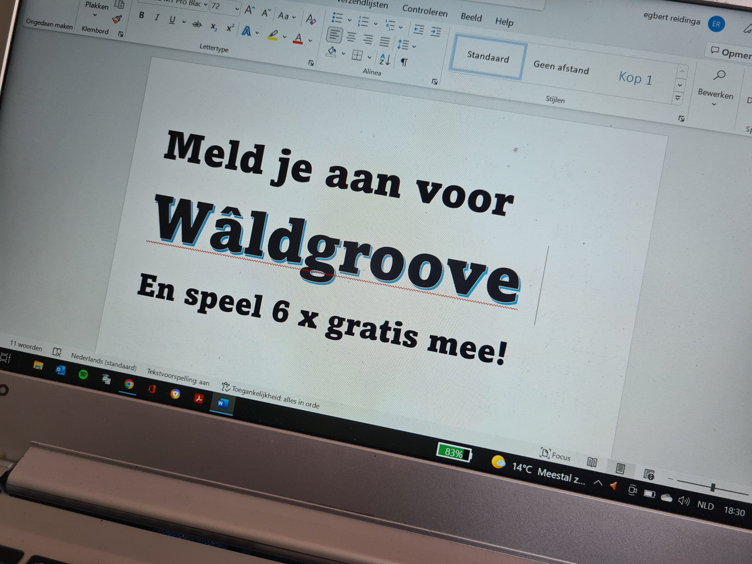 Eerste Repetitie Wâldgroove