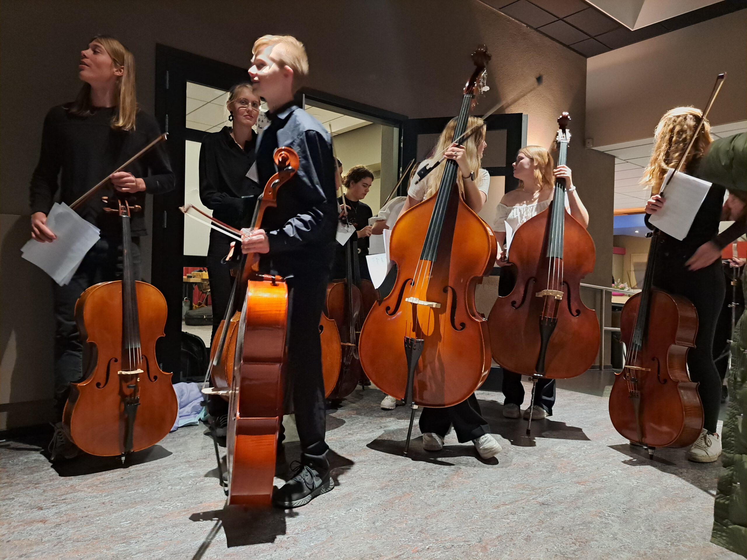 Strijkersensemble De Wâldsang