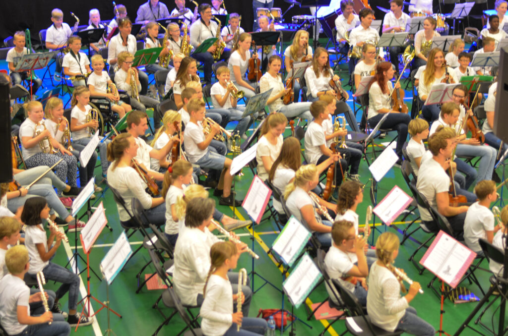 Doelgroep: groep 5,6
Duur: 30 weken, start na de herfstvakantie, 1 uur per week
Docenten: instrument afhankelijk
Locatie: de basisschool, locatie uitvoering nader te bepalen.
Extra: instrumentsamenstelling nader te bepalen